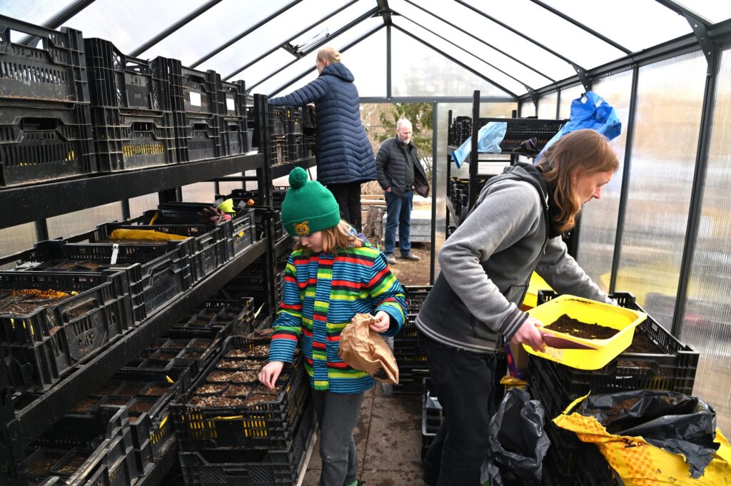 ihmisiä kasvihuoneessa täyttämässä kasvipotteja mullalla ja kylvämässä niihin siemeniä