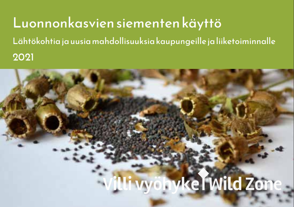 Luonnonkasvien siementen käyttö -- Lähtökohtia ja uusia mahdollisuuksia kaupungeille ja liiketoiminnalle (pdf) -- otsikon lisäksi lähikuvassa puna-ailakin siemenkotia ja siemeniä valkoisella pöydällä