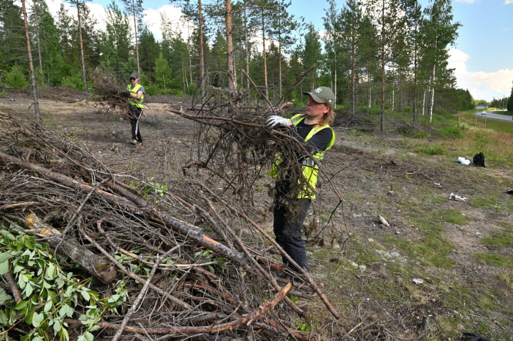 ihmisiä kantamassa oksia kasaan melko avonaisella alueella