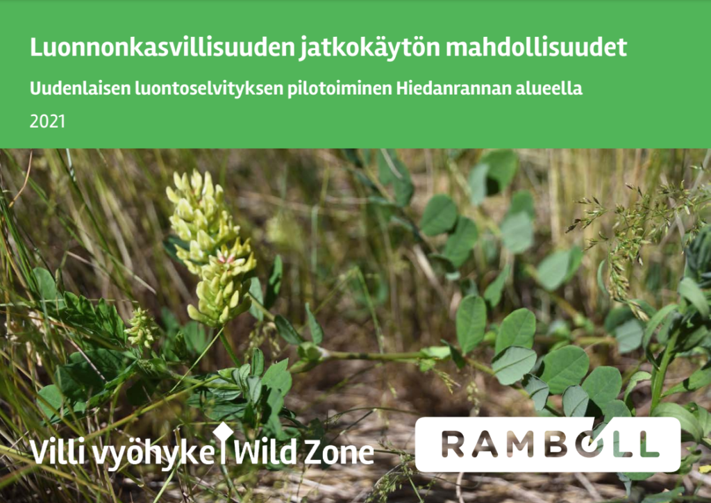 Luonnonkasvillisuuden jatkokäytön mahdollisuudet -- Uudenlaisen luontoselvityksen pilotoiminen Hiedanrannan alueella (pdf) -- otsikon lisäksi lähikuva kukkivasta imeläkurjenherneestä luonnossa