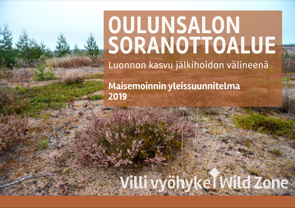Oulunsalon soranottoalue -- Luonnon kasvu jälkihoidon välineenä Maisemoinnin yleissuunnitelma 2019 Villi vyöhyke / Wild Zone (kuvassa kanervaa, varpuja ja avointa sorapintamaata)