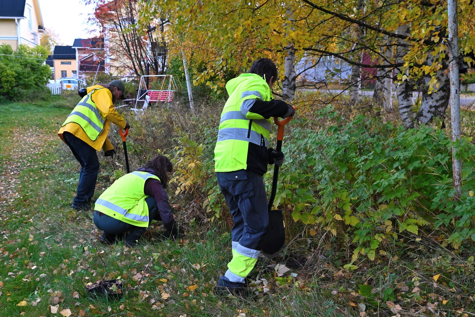 Villarohtonukulan lisääminen Pikisaaressa, Oulu