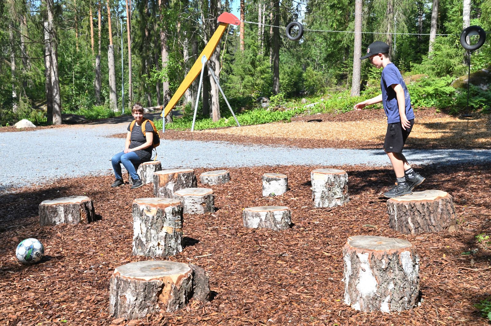 Multisillanpuiston lahopuut, Tampere