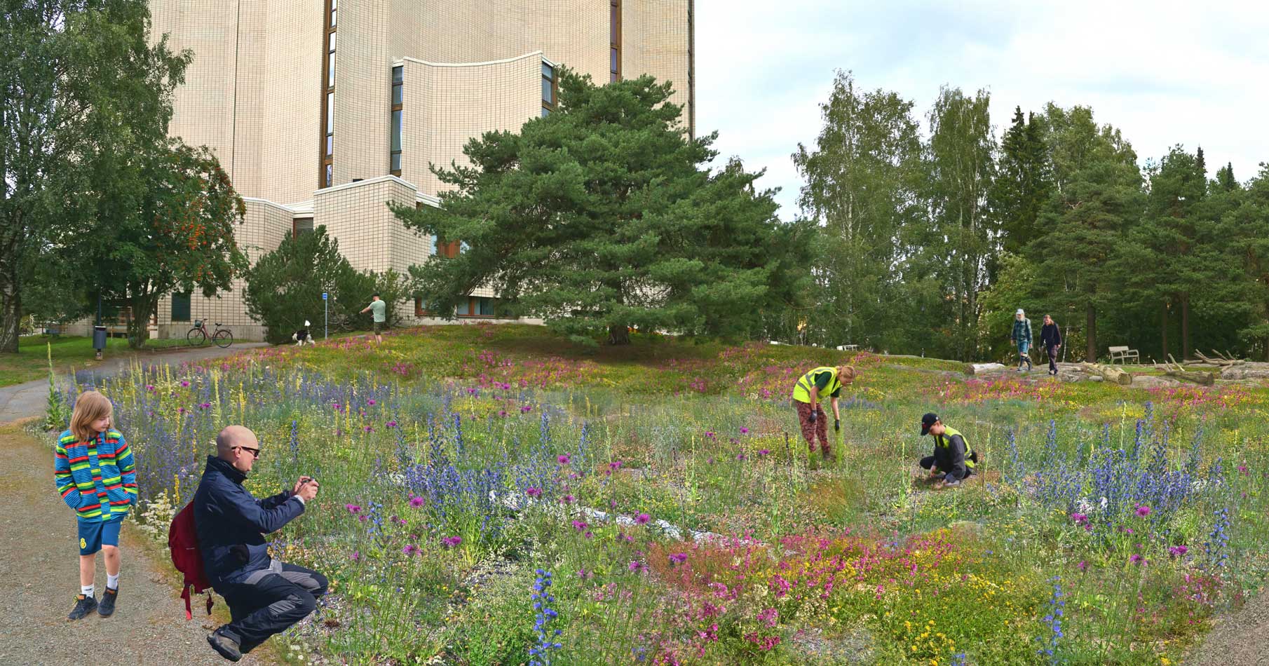 Liisanpuiston keto, Tampere